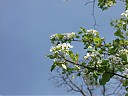 DSCF5335.JPG