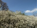 DSCF5337.JPG