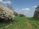 DSCF5339.JPG