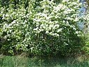 DSCF5341.JPG