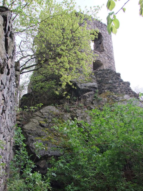 DSCF5368.JPG