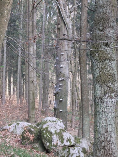 DSCF5273.JPG