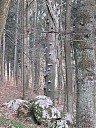 DSCF5273.JPG
