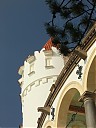 DSCF5313.JPG