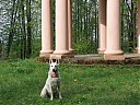 DSCF5440.JPG