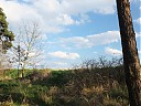 DSCF0145.JPG
