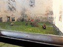 DSCF0407.JPG