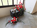 DSCF0410.JPG