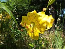 DSCF0633.JPG
