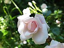 DSCF0644.JPG