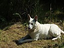 DSCF0660.JPG