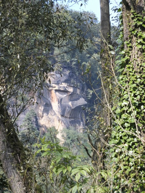 _DSF1769.JPG