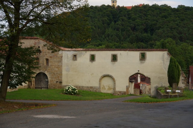 IMGP5416.JPG
