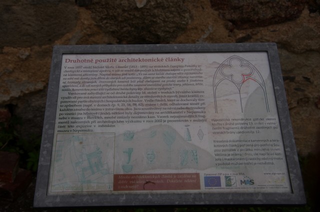 IMGP5440.JPG