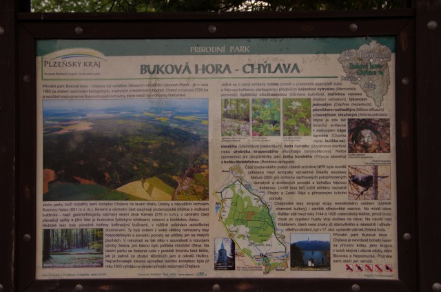 IMGP5443.JPG