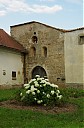 IMGP5422.JPG