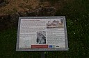 IMGP5425.JPG