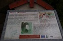 IMGP5441.JPG
