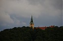 IMGP5448.JPG