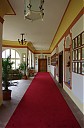 IMGP5318.JPG