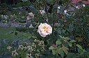 Název souboru=IMGP5751.jpg
Velikost souboru=368KB
Rozměry=1600x1062
Datum přidání=08. 08. 2017 IMGP5751.jpg