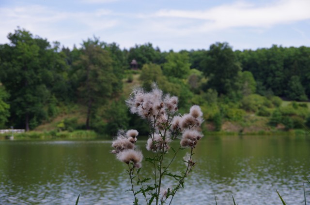 IMGP5808.JPG