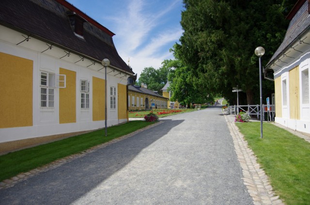 IMGP5832.JPG