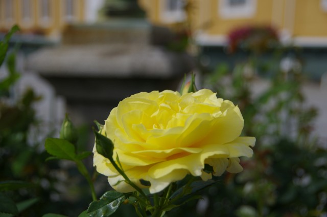 IMGP5861.JPG