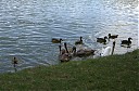 IMGP5810.jpg