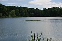IMGP5813.JPG