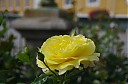 IMGP5861.JPG