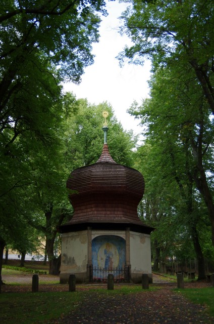 IMGP6145.jpg