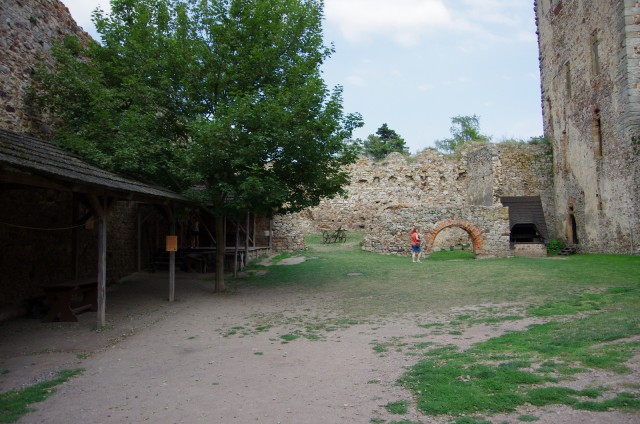 IMGP5916.JPG