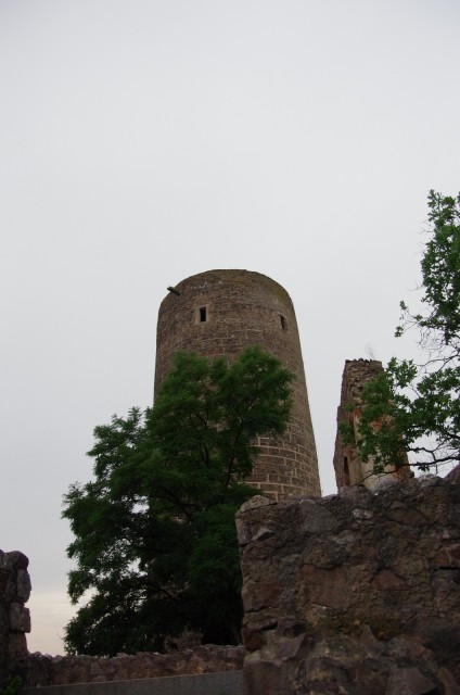 IMGP6033.JPG