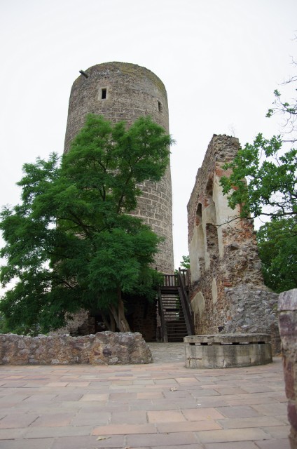 IMGP6035.JPG