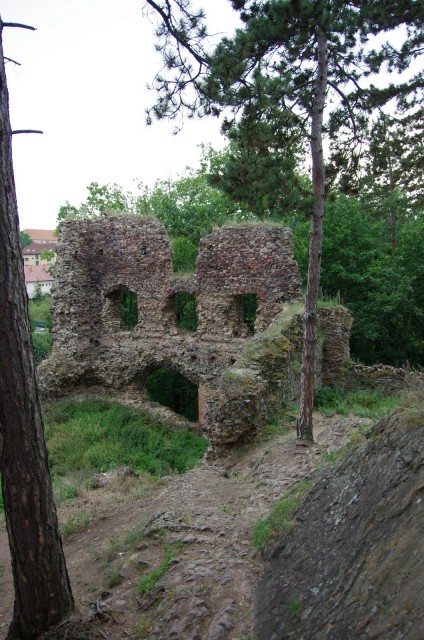IMGP6072.JPG