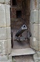 IMGP5914.JPG