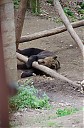 IMGP6018.JPG