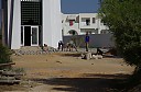 IMGP6255.jpg