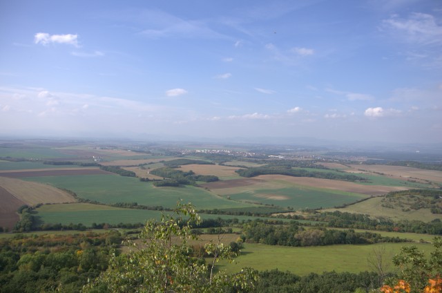 IMGP6302.jpg