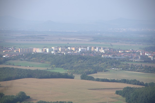IMGP6310.jpg
