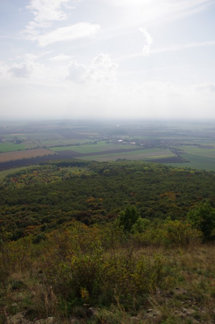 IMGP6333.jpg