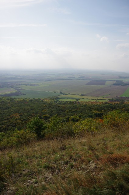IMGP6334.jpg