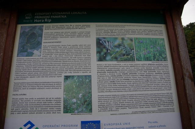 IMGP6341.jpg