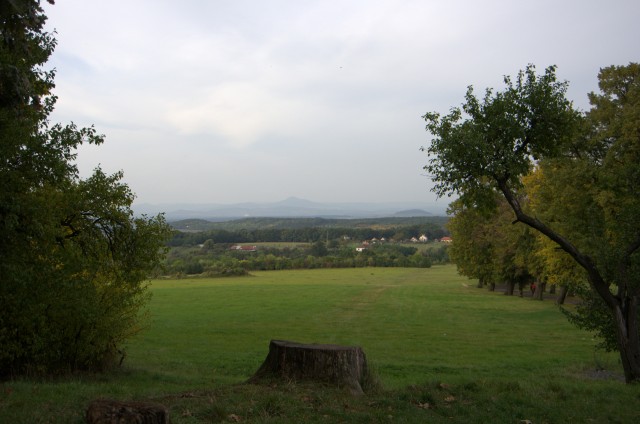 IMGP6350.jpg