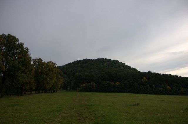IMGP6364.jpg