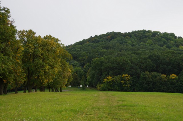 IMGP6367.jpg