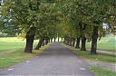 IMGP6356.jpg