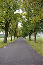IMGP6358.jpg