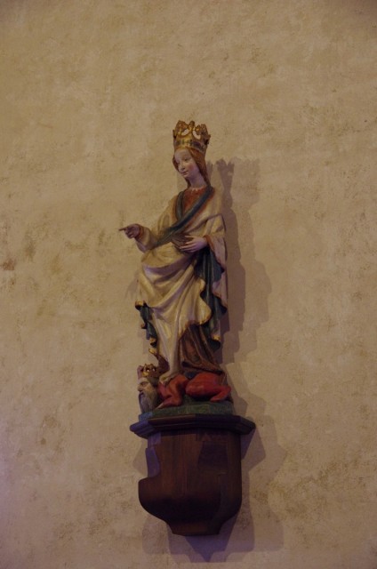 IMGP6620.JPG